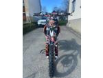 Klikněte pro detailní foto č. 5 - KTM 85 SX (19x16)