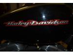 Klikněte pro detailní foto č. 12 - Harley-Davidson Sportster 883 Custom