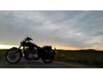 Klikněte pro detailní foto č. 2 - Harley-Davidson Sportster 883 Custom
