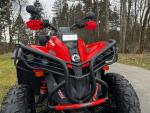 Klikněte pro detailní foto č. 1 - CAN-AM Renegade 570