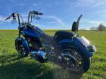Klikněte pro detailní foto č. 3 - Harley-Davidson FXDL Dyna Low Rider