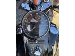 Klikněte pro detailní foto č. 10 - Harley-Davidson FXSTB Softail Night train