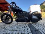 Klikněte pro detailní foto č. 11 - Harley-Davidson FXSTB Softail Night train