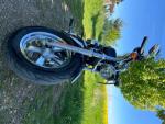 Klikněte pro detailní foto č. 2 - Harley-Davidson XL 1200 C Sportster 1200 Custom