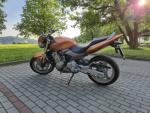 Klikněte pro detailní foto č. 1 - Honda CB 600 F Hornet