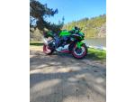 Klikněte pro detailní foto č. 2 - Kawasaki ZX-10R Ninja
