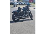 Klikněte pro detailní foto č. 2 - Harley-Davidson Sportster 883