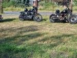 Klikněte pro detailní foto č. 3 - Harley-Davidson Sportster 883