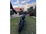 Klikněte pro detailní foto č. 11 - Harley-Davidson XL 1200XS Sportster Forty-Eight Special
