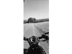 Klikněte pro detailní foto č. 6 - Harley-Davidson VRSCA V-Rod
