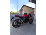Klikněte pro detailní foto č. 4 - Triumph Speed Triple S