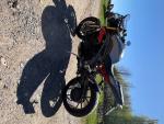 Klikněte pro detailní foto č. 8 - Triumph Speed Triple R