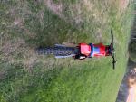 Klikněte pro detailní foto č. 3 - Honda CR 80 R
