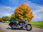 Klikněte pro detailní foto č. 4 - Suzuki Intruder C 1800 R