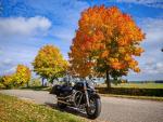 Klikněte pro detailní foto č. 5 - Suzuki Intruder C 1800 R