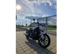 Klikněte pro detailní foto č. 3 - Indian Scout