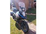 Klikněte pro detailní foto č. 9 - Suzuki DL 1000 V-Strom