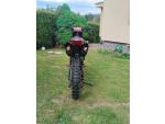 Klikněte pro detailní foto č. 11 - Honda CRF 450 R