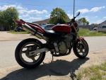 Klikněte pro detailní foto č. 4 - Honda CB 600 F Hornet