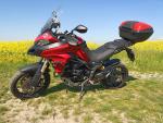 Klikněte pro detailní foto č. 1 - Ducati Multistrada 950