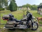Klikněte pro detailní foto č. 2 - Harley-Davidson Electra Glide Ultra Classic