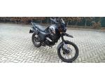 Klikněte pro detailní foto č. 2 - Shineray XY 125 GY