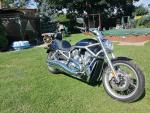 Detail nabídky - Harley-Davidson VRSCAW V-Rod