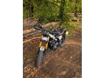 Klikněte pro detailní foto č. 2 - Triumph Scrambler