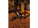 Klikněte pro detailní foto č. 7 - Triumph Scrambler